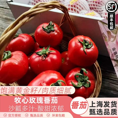 金喜柿玫瑰番茄西红柿自然熟多汁新鲜水果草莓番茄4斤礼盒装顺丰