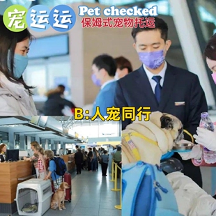 (宠运运)VIP国内国际宠物托运连锁狗狗猫猫出行航空箱手续全包
