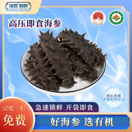 海宽即食海参有机高压海参500g礼盒装底播鲜海参活海叁非干货