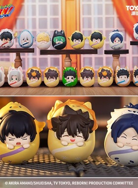 森罗万象《家庭教师HITMAN-REBORN》萌宠不倒翁系列萌粒盲盒周边