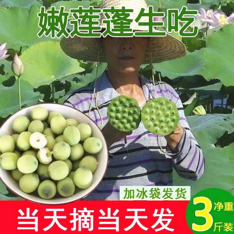 湖南新鲜生吃莲子当季湘莲现剥莲蓬