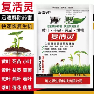 复活灵预防黄叶烂根死苗干尖通用型叶绿素叶面肥水果蔬菜花卉肥料