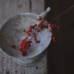 铁艺小鸟托盘日系花园杂货摆件咖啡厅民宿摄影道具复古花盆