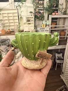 树脂仙人掌花盆