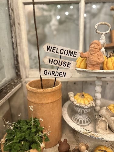 welcome欢迎花插花园