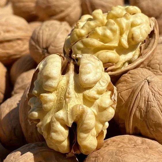 新疆阿克苏185薄皮核桃原味坚果零食500g