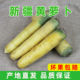 新疆特产黄萝卜手抓饭用新鲜蔬菜胡萝卜带土直发水果萝卜炖肉凉拌