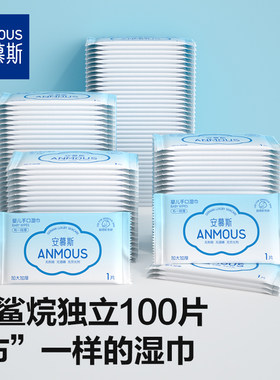 【独立包装】便携湿巾100片