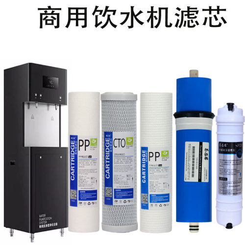 易芯思品牌滤芯适用于希力直饮机XL-ZYJ-2W305 2W405 2WC40滤芯