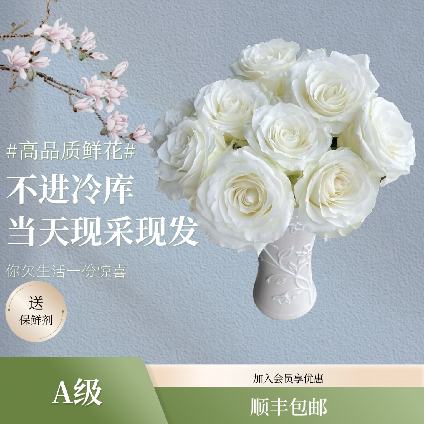 长风花舍【顺丰包邮】精品A级骄傲玫瑰云南基地直发