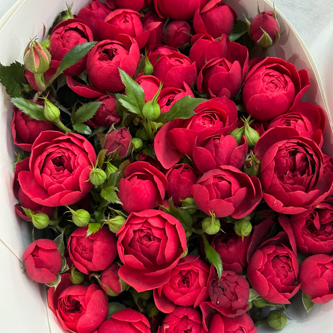 稀有小众花材顺丰直达