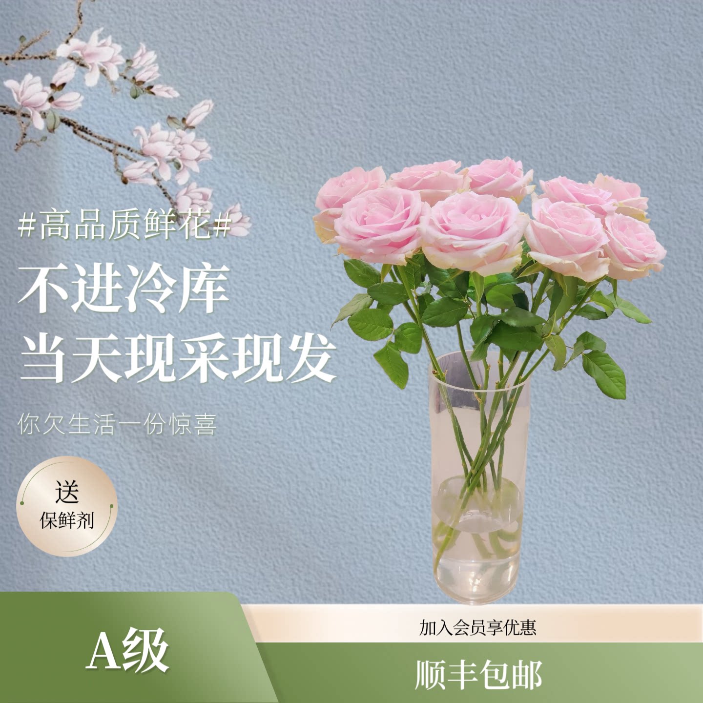 长风花舍【顺丰包邮】A级玫瑰-粉红雪山 云南昆明基地直发