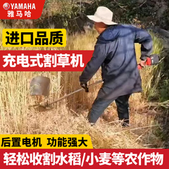 新型电动割草机充电式小型家用草坪机多功能农用收割果园除草机