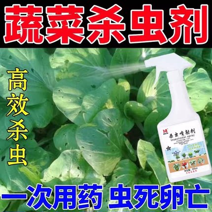 蔬菜杀虫剂无毒菜园专用菜地植物杀虫剂蚜虫菜虫小青虫家用喷雾剂