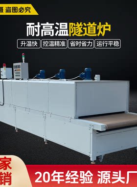 高温隧道炉烘干线丝印恒温流水线烘干机不锈钢链板网带工业烤箱