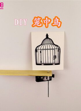 DIY视觉残留现象笼中鸟幼儿童小学生科普实验器材料包科教玩具K40