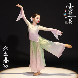 2026新款儿童古典舞服装中国风绝美纱衣服演出服女少儿立春舞蹈服