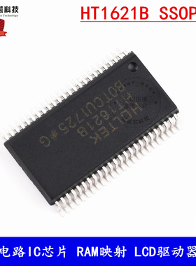 HT1621B 集成电路IC芯片 RAM映射 LCD驱动器液晶 贴片 SSOP-48