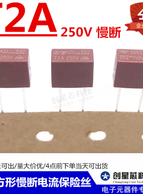 392 方形慢断电流保险丝 250V T2A T2000mA 红色 电源保险丝 现货