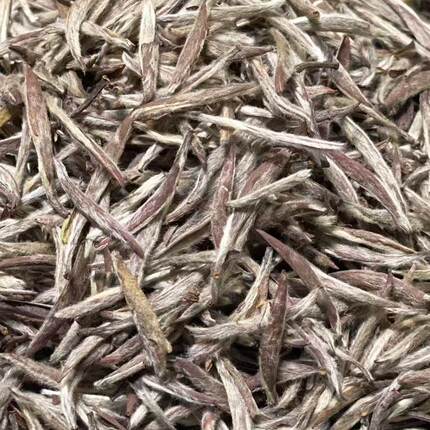 福鼎白茶2015年特级白毫银针明前茶叶白毫银针 品鉴装10克