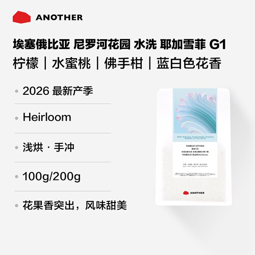 别处咖啡埃塞耶加雪菲G1手冲豆