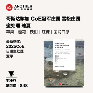 别处咖啡精品咖啡豆哥斯达黎加雪松庄园蜜处理瑰夏COE获奖庄园