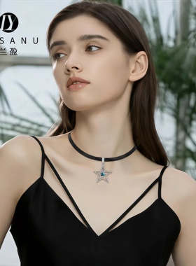 兰盈奥地利水晶星星锁骨链女项链
