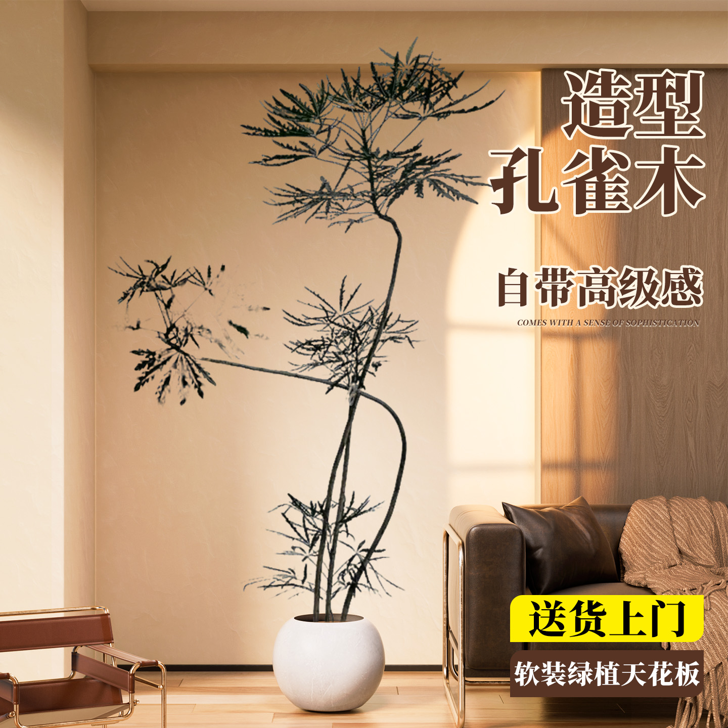 孔雀木大盆栽客厅大型落地造型绿植室内网红高级感植物办公室好养