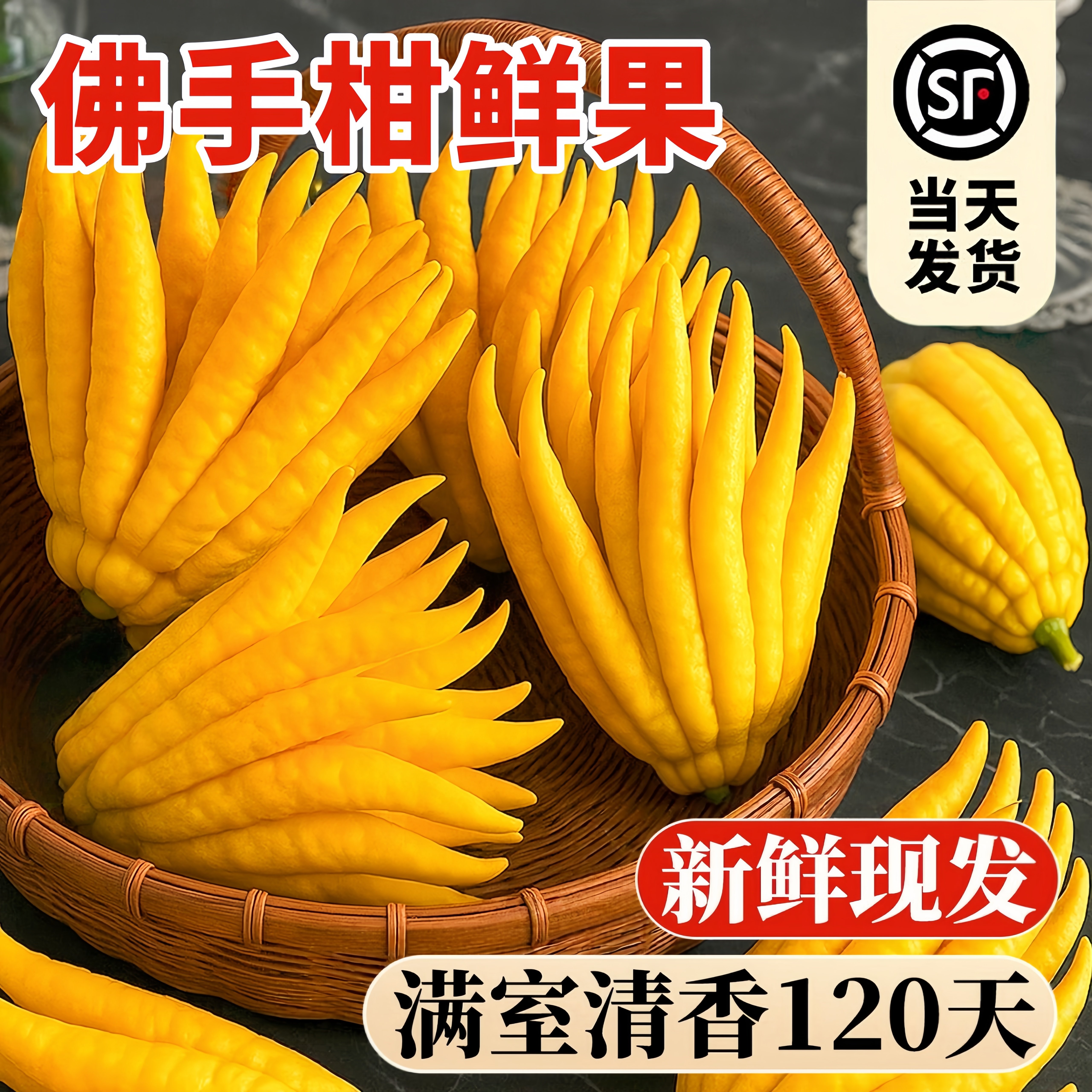 佛手柑鲜果水培植物现摘新鲜佛手瓜摆件室内观赏盆栽水养绿植好养