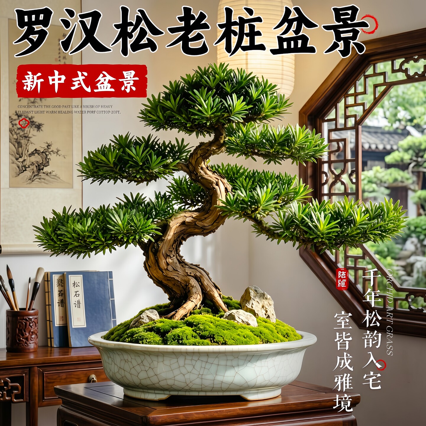 罗汉松老桩造型盆景大盆栽树苗树桩室内矮桩客厅招财旺财精品真树
