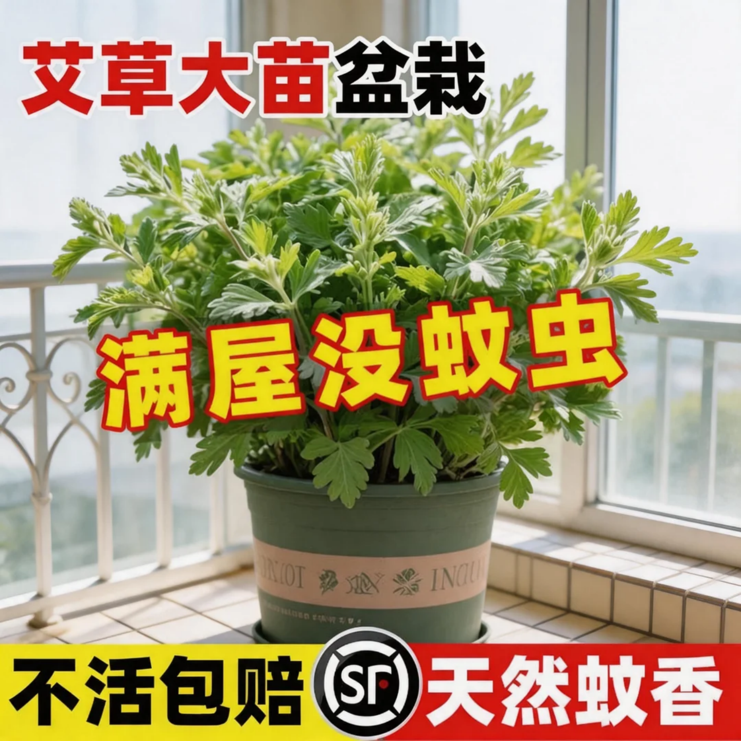 艾草盆栽驱蚊植物可食用香草室内外阳台绿植盆栽防虫小叶艾蒿端午