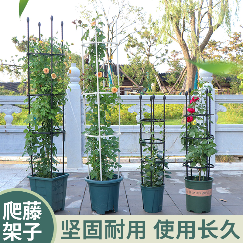 花架爬藤架子铁线莲月季花支架花盆植物攀爬支架室内山乌龟支撑杆