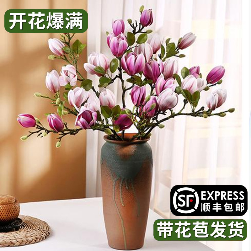 水培白玉兰干枝带花苞水培植物室内鲜切好养浓香型雪柳遇水开花卉