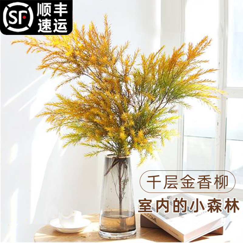 千层金鲜切枝水培室内花卉鲜花枝