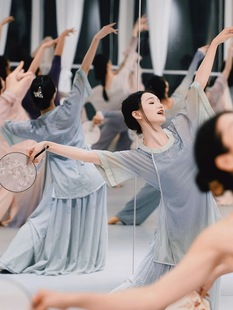 新款诗意唐风古典舞蹈服中国风气质质感外衫裙子两件套表演演出服