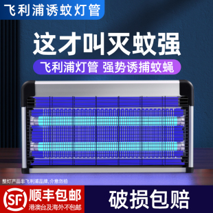 飞利浦灭蚊灯家用餐厅饭店蓝光诱蚊室内电击式商用灭蝇灯