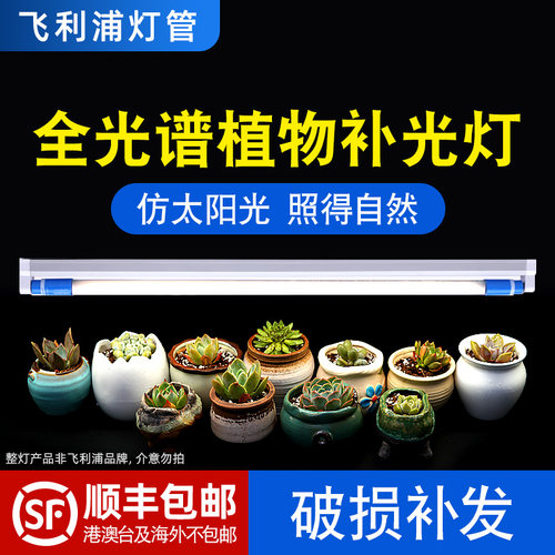 飞利浦多肉补光植物生长灯