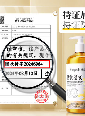 檀雨姜汁洗发水500ml山茶籽清爽滋润侧柏叶洗发露液批发