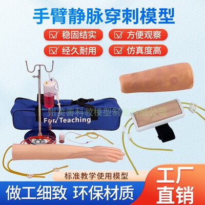 美善模型静脉穿刺手臂注射教学