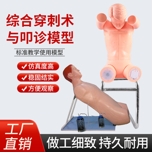 高级胸腔穿刺模拟人(前倾坐位)胸腰椎穿刺综合穿刺术技能训练模型