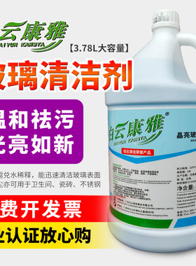 康雅玻璃水家用去污渍汽车清洁剂
