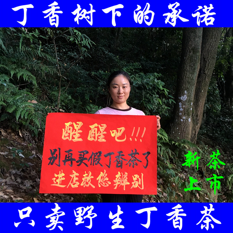 丁香茶长白山野生特级丁香红茶百养生茶