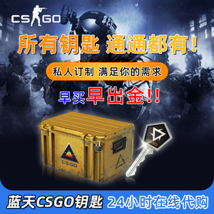 CSGO箱子钥匙命悬一线CS2武器箱裂梦魇蝴蝶刀变革千瓦手套
