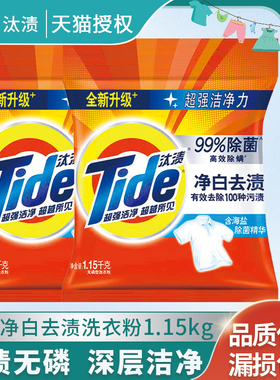 汰渍净白无磷洗衣粉家庭实惠小包装508g海盐高效除螨机洗手洗去渍