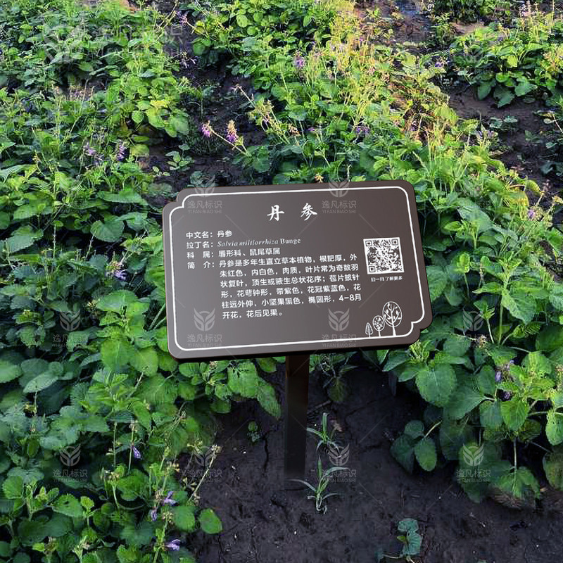 植物介绍牌中药材插地烤漆百草园花木树种树木介绍花园植物提示牌