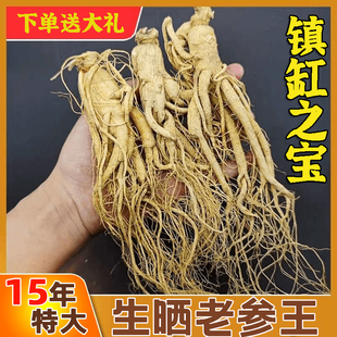 15年超特大老参王长白山整支老人参野山参生晒参干参泡酒佳品