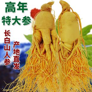 人参中药材泡酒专用长白山人参东北特产鲜人参野山参林下参