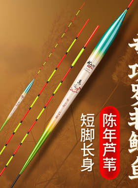细长身短脚芦苇底钓高灵敏鲫鱼漂