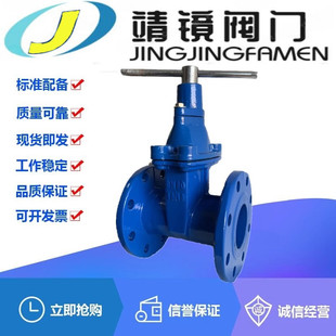 16Q球墨铸铁弹性座软密封锁闭闸阀DN40 200水管防盗阀 FDZ45X