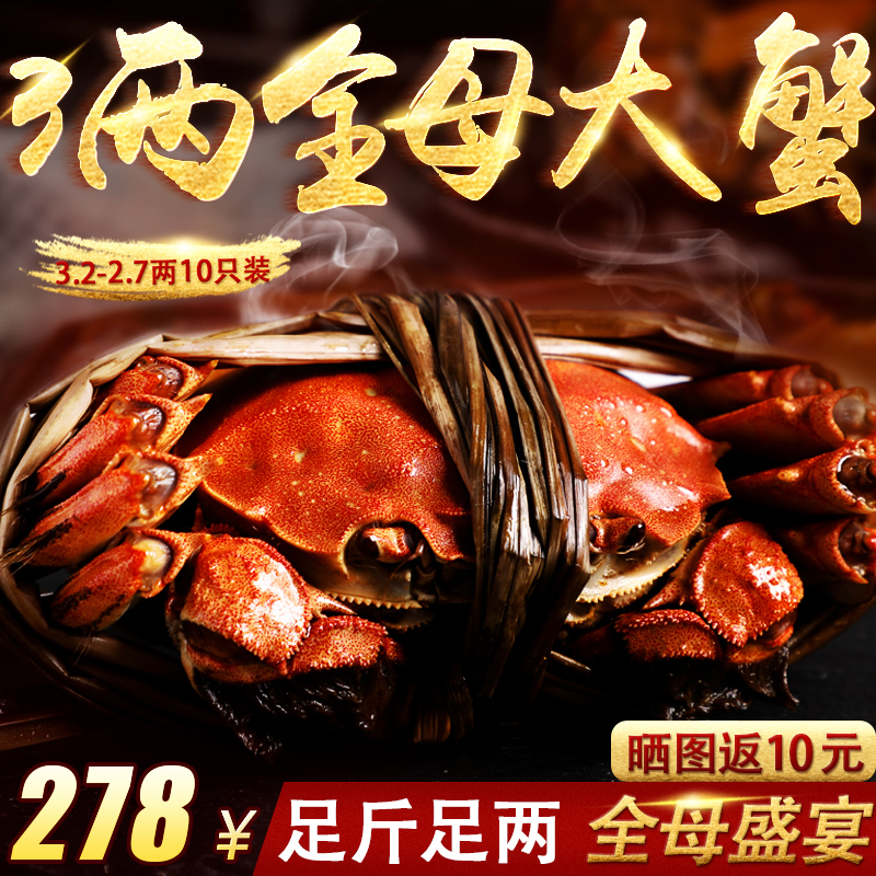 10只陽澄湖大閘蟹特大現貨六月黃鮮活新鮮全母蟹3兩禮盒裝螃蟹